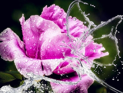 Image of Water Splashed in Rose - DIY Diamond Painting