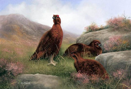 Ring-necked Pheasant - DIY Diamond Painting